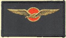 Знак Pilot