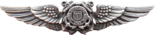 Знак US Coast Guard Auxiliary Aviator Wing