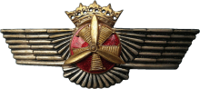 Знак Technician