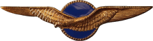 Знак Observer
