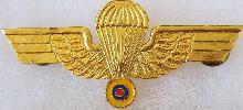 Знак Парашютист