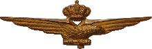 Знак Пилот