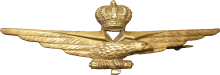Знак Пилот