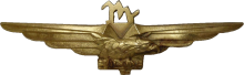 Знак Пилот