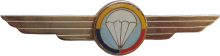 Знак Air Force parachutist
