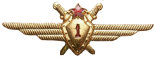Знак Pilot 1st class
