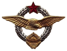 Знак Пилот (тип 2)