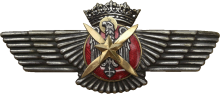 Знак Пилот наблюдатель