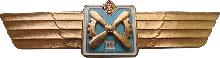 Знак Technician 3rd class Знак Technician 3rd class