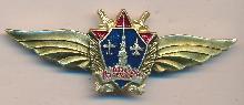 Знак 76-ая воздушная армия 