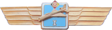 Знак Пилот 1 класса