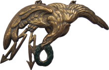 Знак Observer, combat
