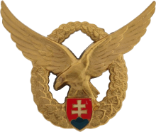 Знак Pilot 1st class