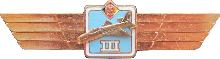 Знак Пилот 3 класса
