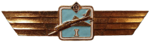 Знак Pilot 1st class Знак Pilot 1st class