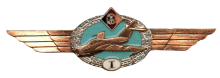 Знак Пилот 1 класса