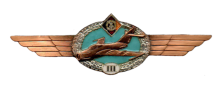 Знак Пилот 3 класса