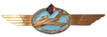 Знак Пилот без класса