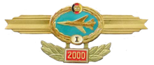 Знак Pilot 1st class Знак Pilot 1st class