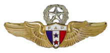 Знак Master pilot