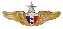 Знак Senior pilot