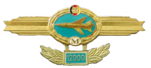 Знак Пилот-мастер