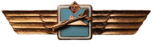 Знак Pilot without class