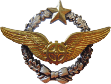 Знак Technician