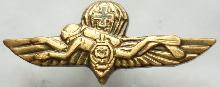 Знак Боевой пловец