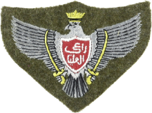 Знак Pilot
