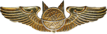 Знак Штурман