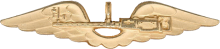 Знак Air gunner