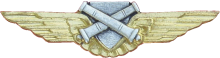 Знак Nonflying specialist