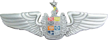 Знак Pilot Знак Pilot