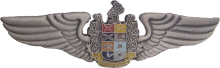 Знак Pilot Знак Pilot