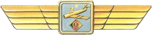 Знак Pilot 1st class