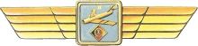 Знак Пилот 2 класса