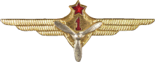 Знак Technician 1st class
