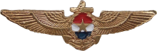 Знак Naval pilot