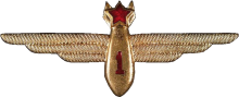 Знак Navigator 1st class