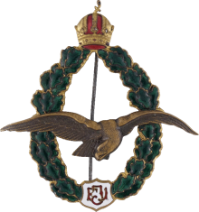 Знак Pilot