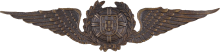 Знак Pilot