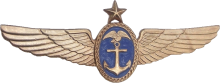 Знак Старший пилот