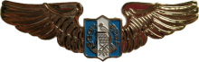 Знак Pilot