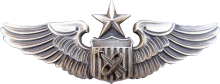 Знак Senior austranaut