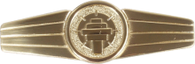 Знак Специалист управления полетами, золотой