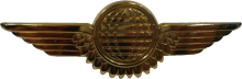 Знак Air crewman 1st class