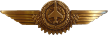 Знак Observer 3rd class