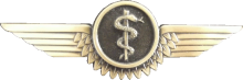 Знак Flight Surgeonб bronze