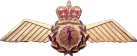 Знак Navigator
